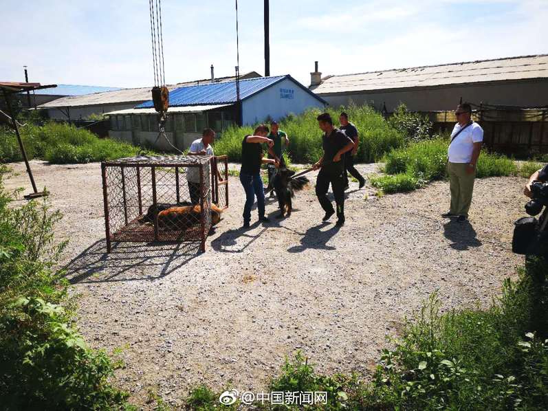 Tech giant Google unveiled a new AI tool designed to assist teachers in creating lesson plans