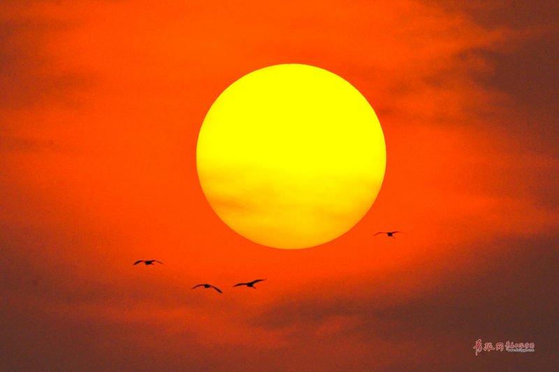 A hotel added a fitness center with cardio machines and weights for guests