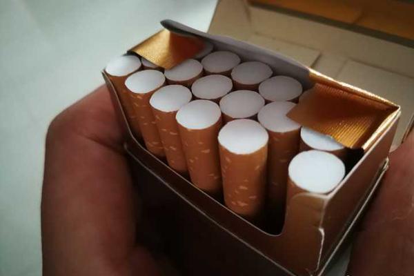 A national park started a program to teach visitors about wildlife conservation