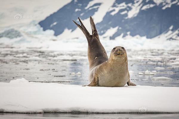 Local businesses sponsored a community event to raise money for charity
