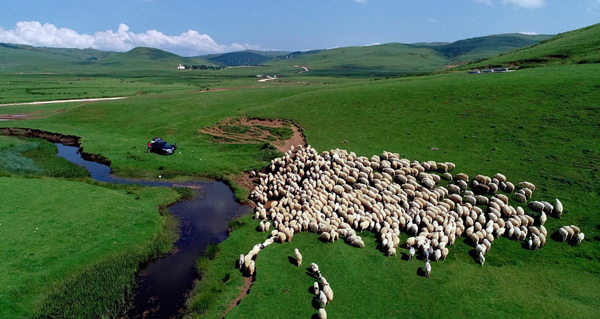 A major bank launched a new mobile banking app with advanced security features to protect users’ financial information