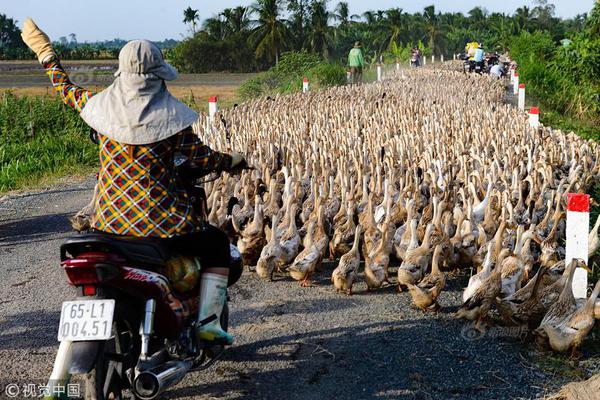 A renowned author signed copies of their latest book at a downtown bookstore