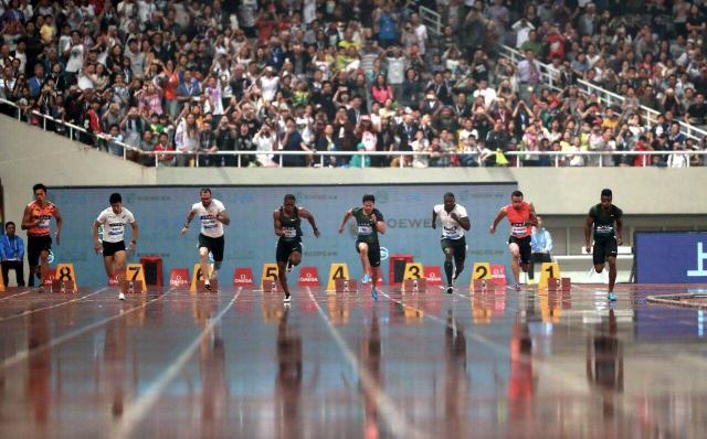 Local farmers reported a record harvest of apples thanks to mild weather and new fertilizers