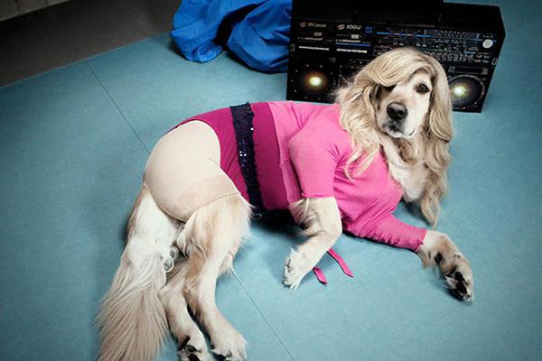 A new podcast platform launched featuring exclusive content from award-winning journalists