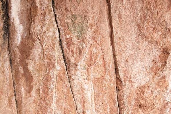 A study published in a science journal found that exposure to natural sunlight improves cognitive function in children