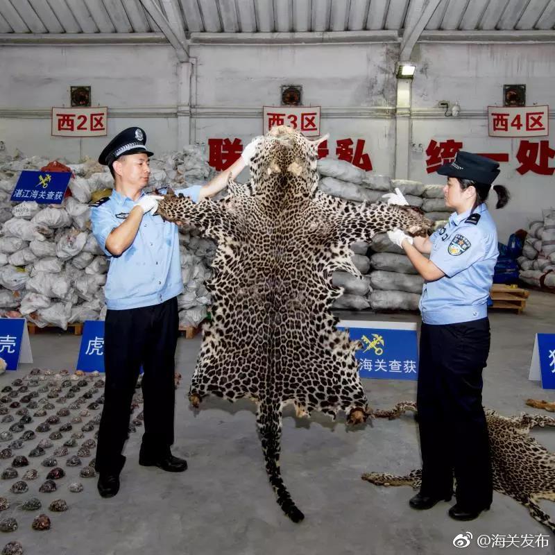 Football team signs veteran quarterback to one-year contract for upcoming season