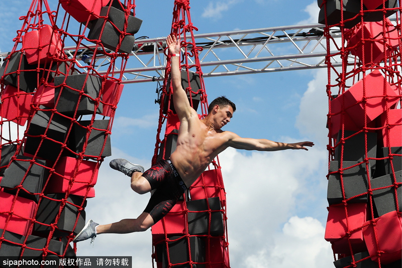 Chemists create natural cleaning products safe for pets