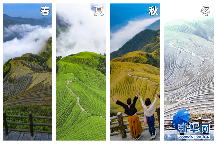 A software company released a new update for its photo editing tool with advanced filters