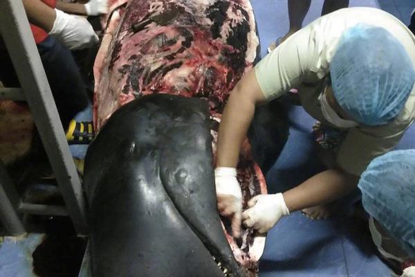 The city started a program to help homeless people find jobs and housing