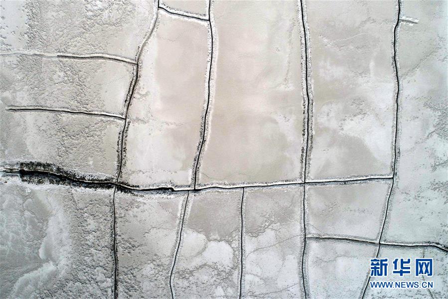 A museum offered guided tours in Spanish, French, and Mandarin to accommodate international visitors