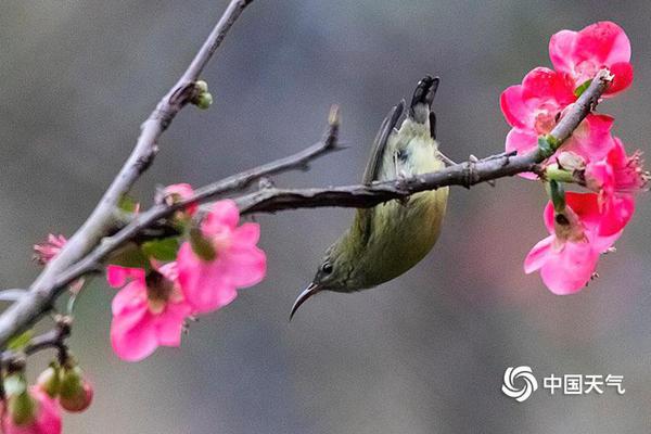 Scientists invented a new type of solar panel that can be integrated into building windows
