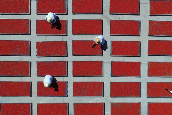 A severe earthquake struck a coastal town causing significant damage to buildings and leading to several injuries