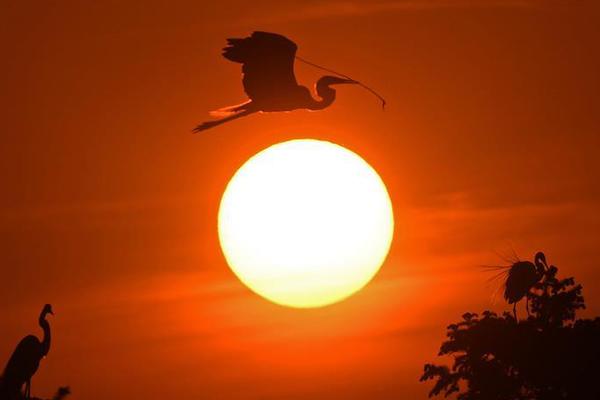 A tech company released a new tablet with a detachable keyboard for work and entertainment