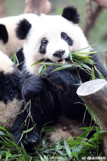 Local businesses joined a campaign to reduce their carbon footprint