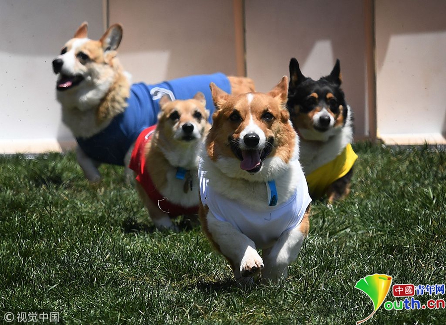 Tennis player wins first Grand Slam title after defeating defending champion