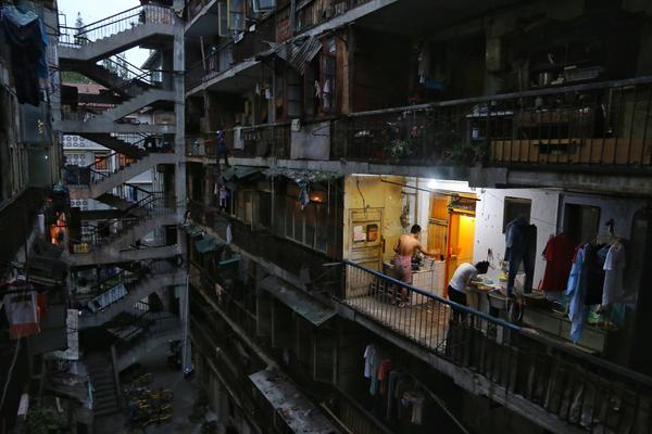 Dietitian recommends adding leafy greens to daily meals for essential nutrients