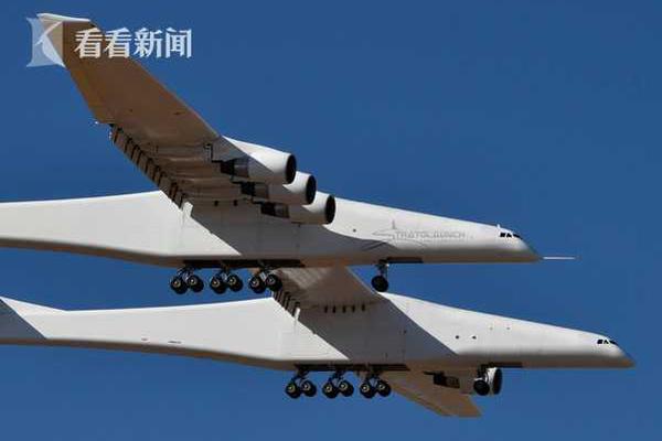 A small business owner expanded their pet store to include a grooming salon