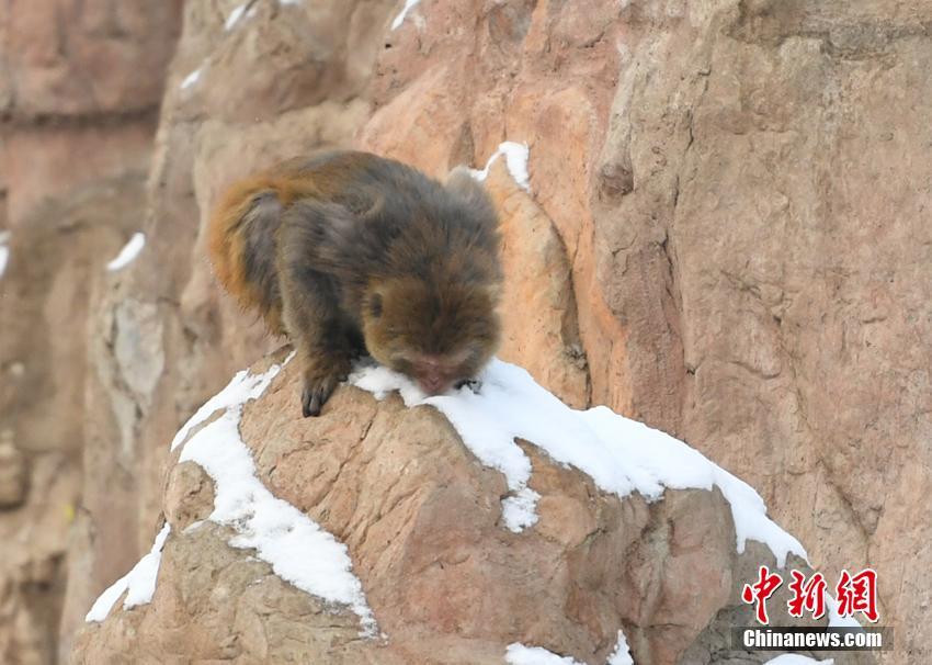 Archaeologists found ancient ruins that date back over 2000 years in a small village