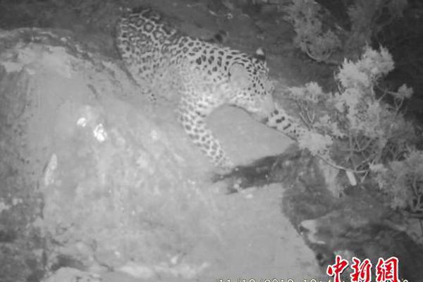 Farmers report higher crop yields due to improved irrigation systems