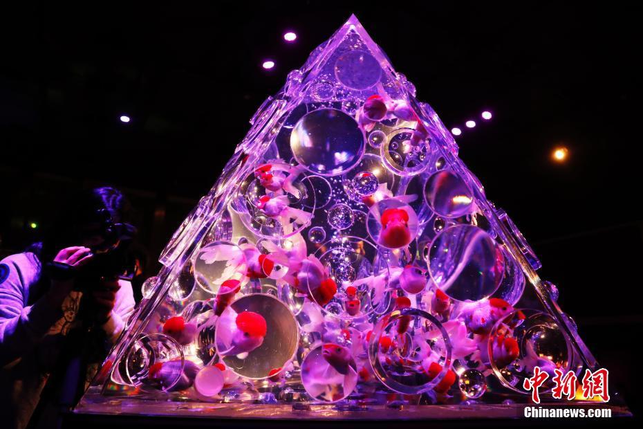 City council votes to add more bike lanes on major roads to promote cycling