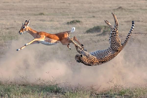 Book publisher signs deal with best selling author for three new novels