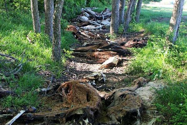 Mathematicians solve complex problem in number theory