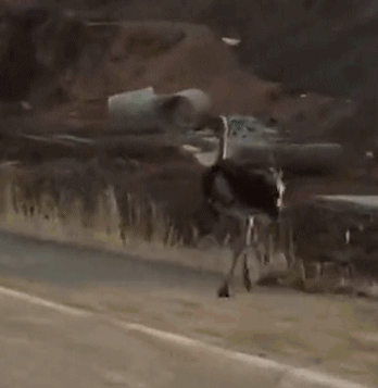 A grocery store started offering meal kits with pre-portioned ingredients and recipes