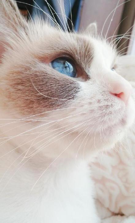 A school started a debate club that won first place in a regional competition