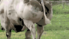 A new design museum opened with exhibits on modern architecture