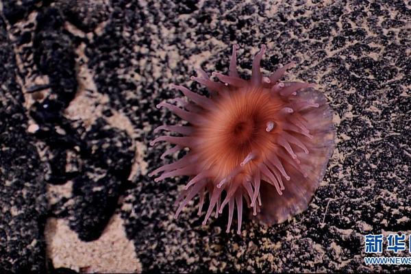 A charity started a program to help homeless people find permanent housing