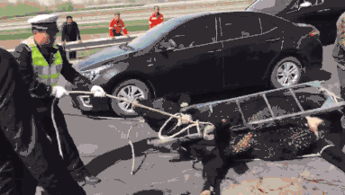 Newspaper covers story of local farmer who switched to organic farming