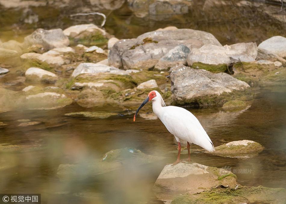 Researchers found that children who attend preschool have better reading skills by third grade