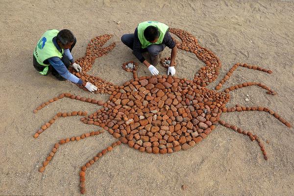 A construction company finished building a new elementary school with 20 classrooms