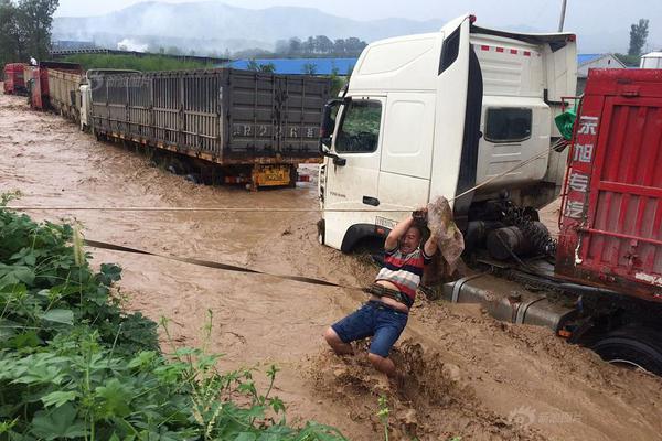 Local farmers reported a bumper crop of apples due to ideal weather conditions this year