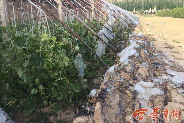 Local residents protested against the construction of a new factory near their community