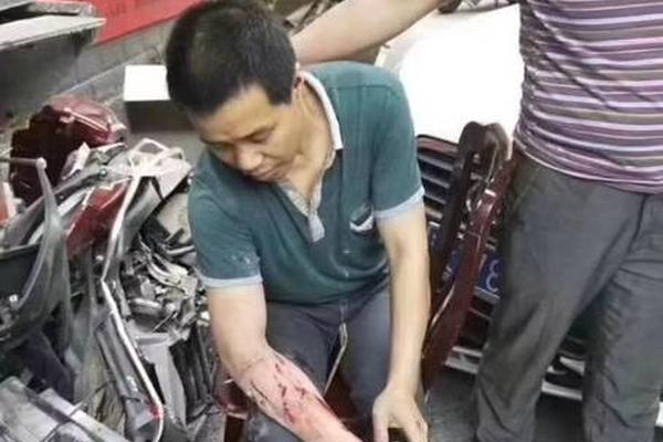 Scientists studied how light pollution affects the migration of birds