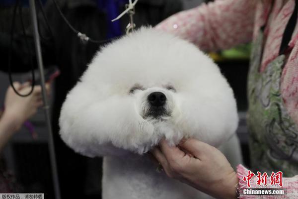 A local farm started a community-supported agriculture program where people can buy shares of the harvest