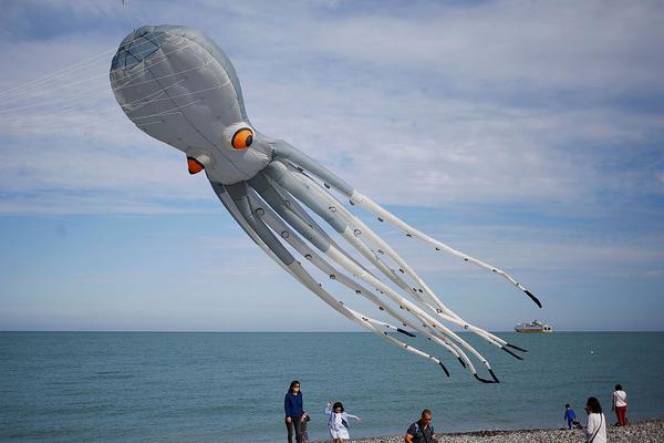Tea shop creates new blends using herbs grown in local community gardens