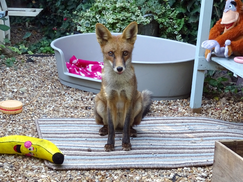 The United Nations released a report on climate change impacts on coastal communities