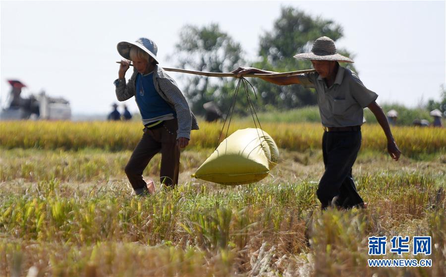 A tech company announced it would release a new smartphone with a better camera and longer battery life