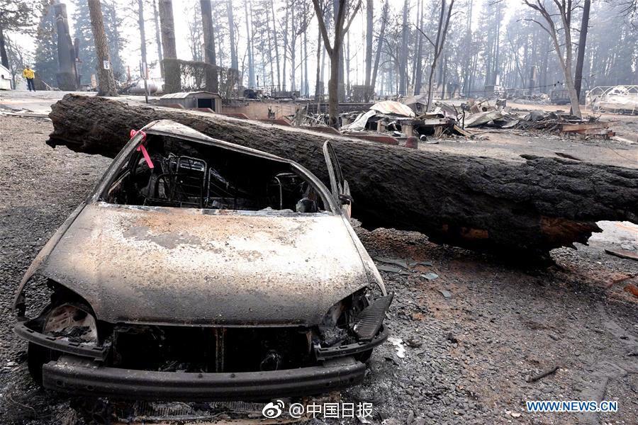 A new art exhibition featured works by emerging artists from around the world