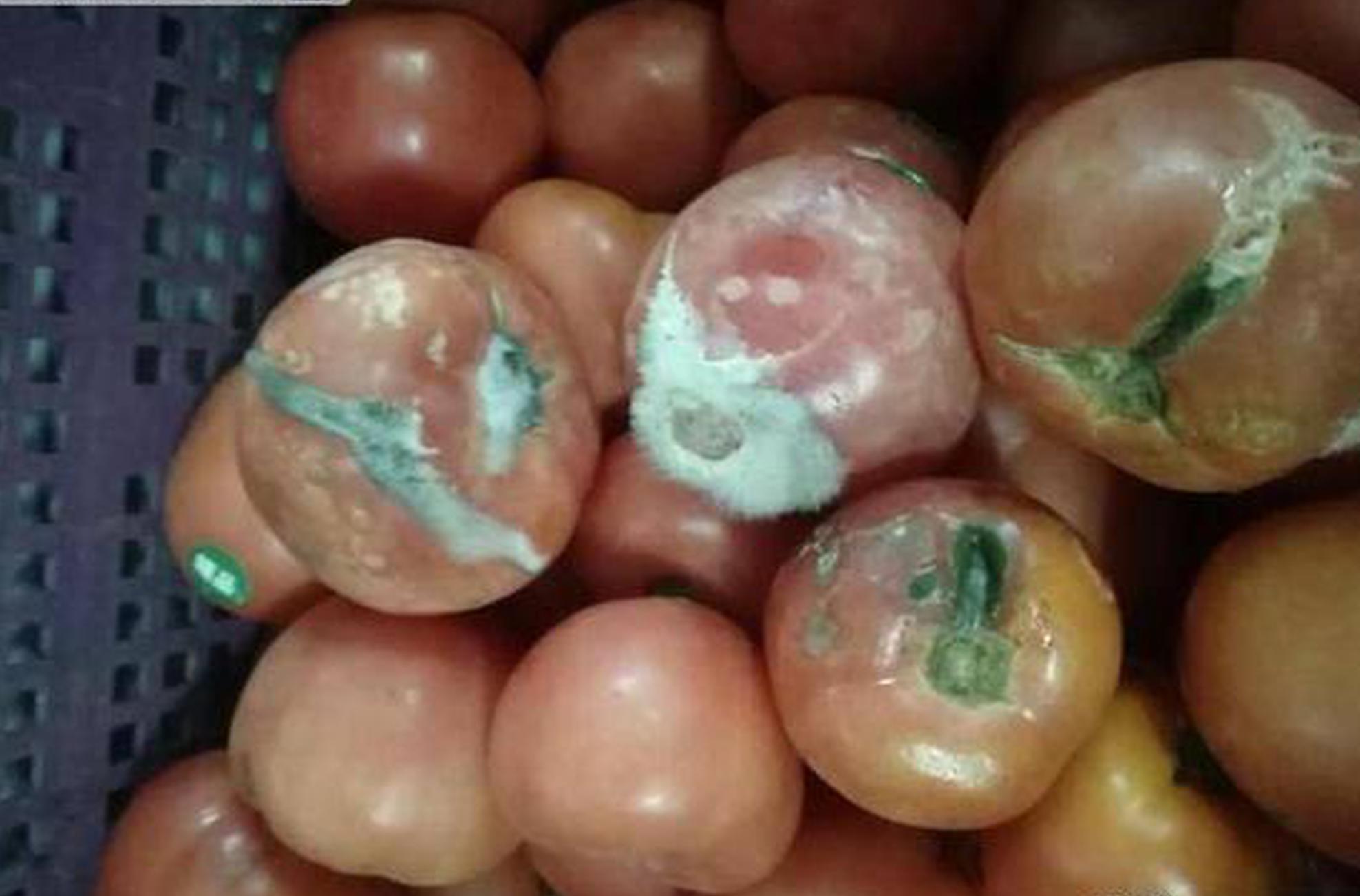 The local police solved a long - standing criminal case