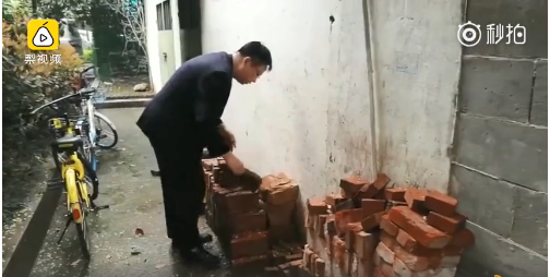 A taxi company added 15 electric vehicles to its fleet, cutting carbon emissions by 25%