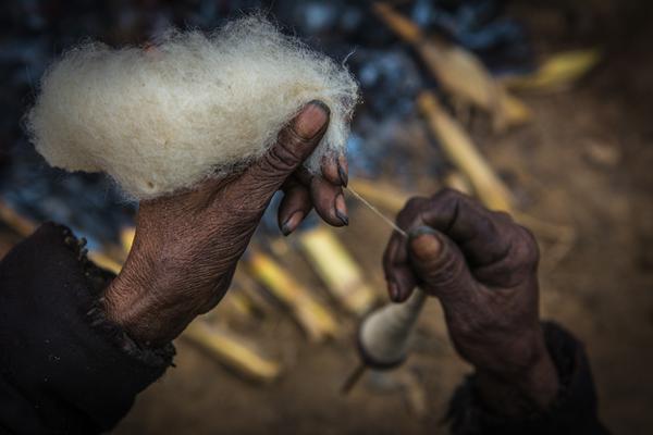 A farm started offering educational tours for school groups to learn about farming