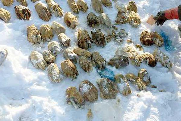 The city council approved the construction of a new water treatment plant