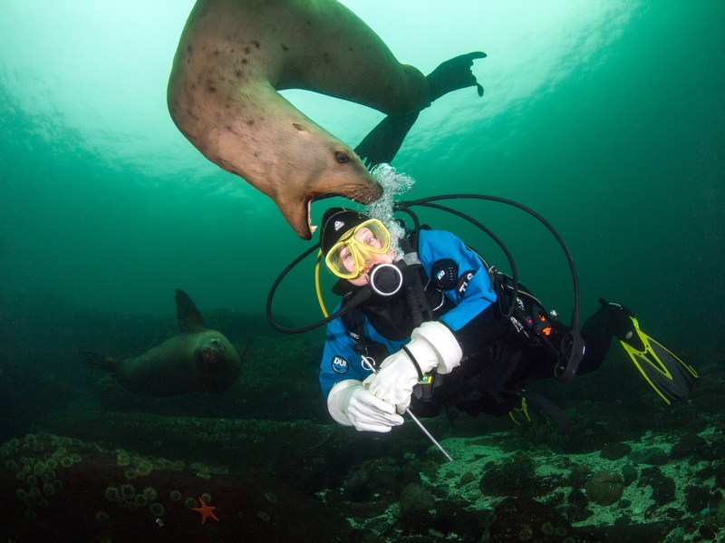 A musician went on a European tour to promote their new album