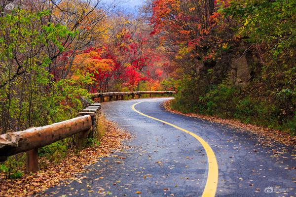 Researchers found that spending time in nature reduces the risk of depression in adults