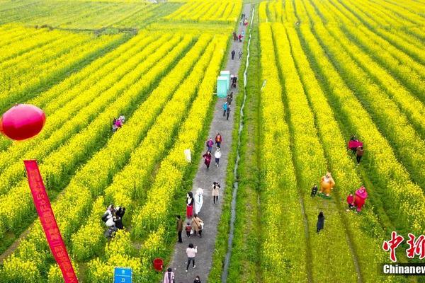 The national soccer team won its first major tournament in 25 years, defeating the defending champions 2-1 in the final.