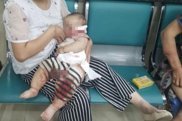 The national soccer team won their first match in the World Cup, defeating a defending champion with a score of 2-1.