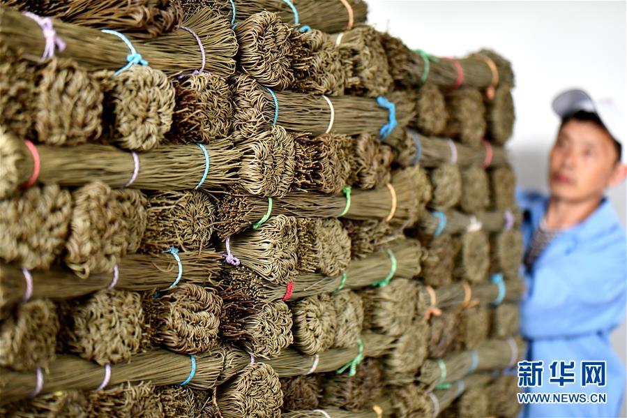 Scientists developed a way to convert plastic waste into fuel addressing global pollution